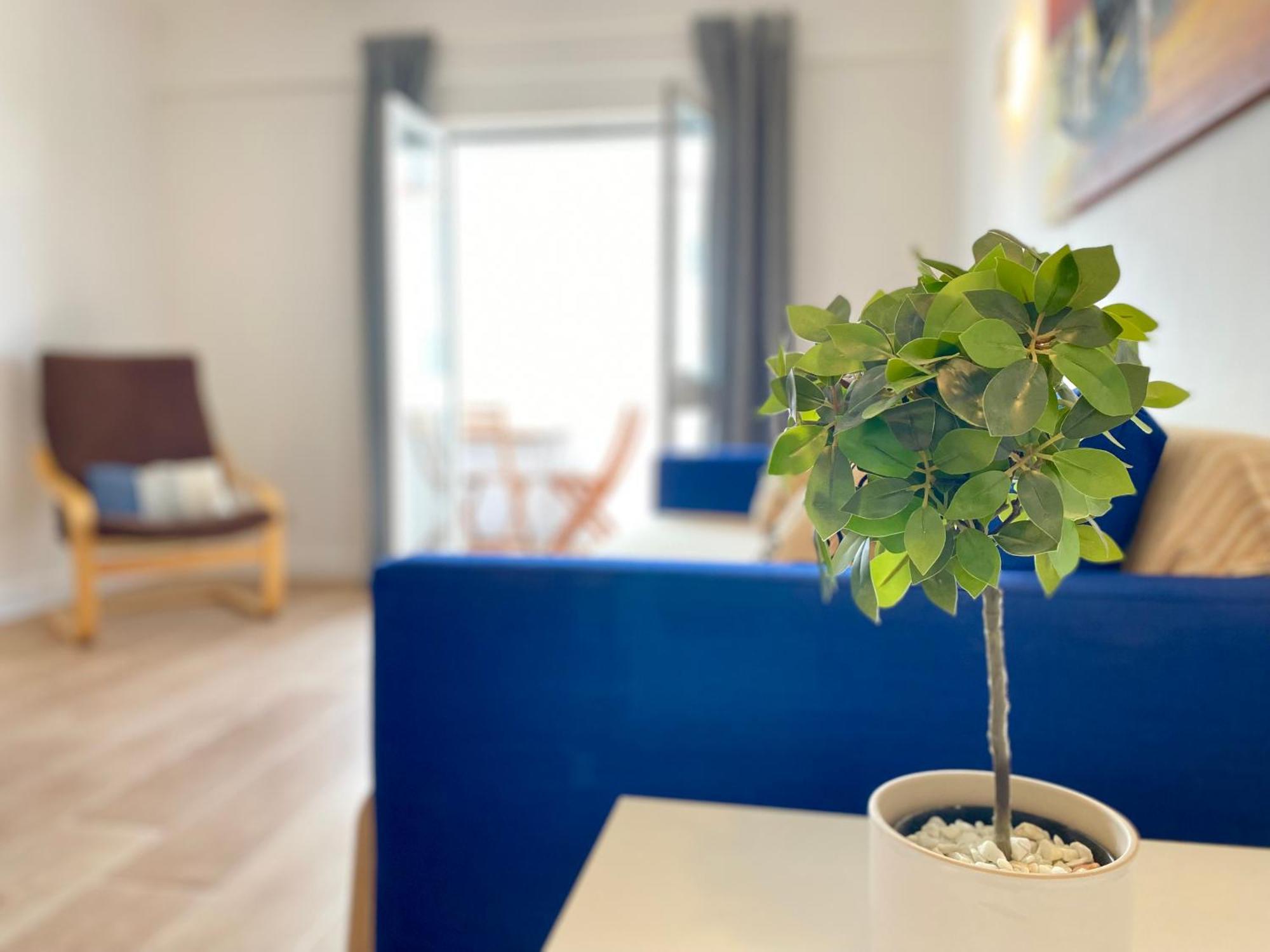 Apartamento 2M - Praia Do Carvoeiro كارفويرو المظهر الخارجي الصورة